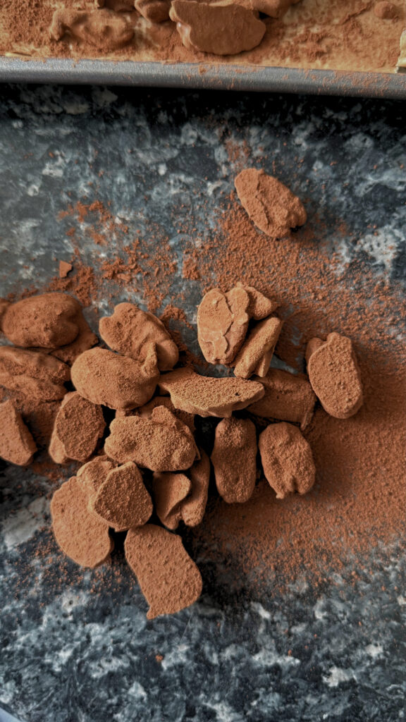 Pecan Truffles scattered on the working surface