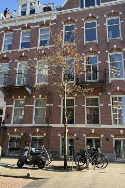 A building with balconies, a tree, and bicycles parked outside