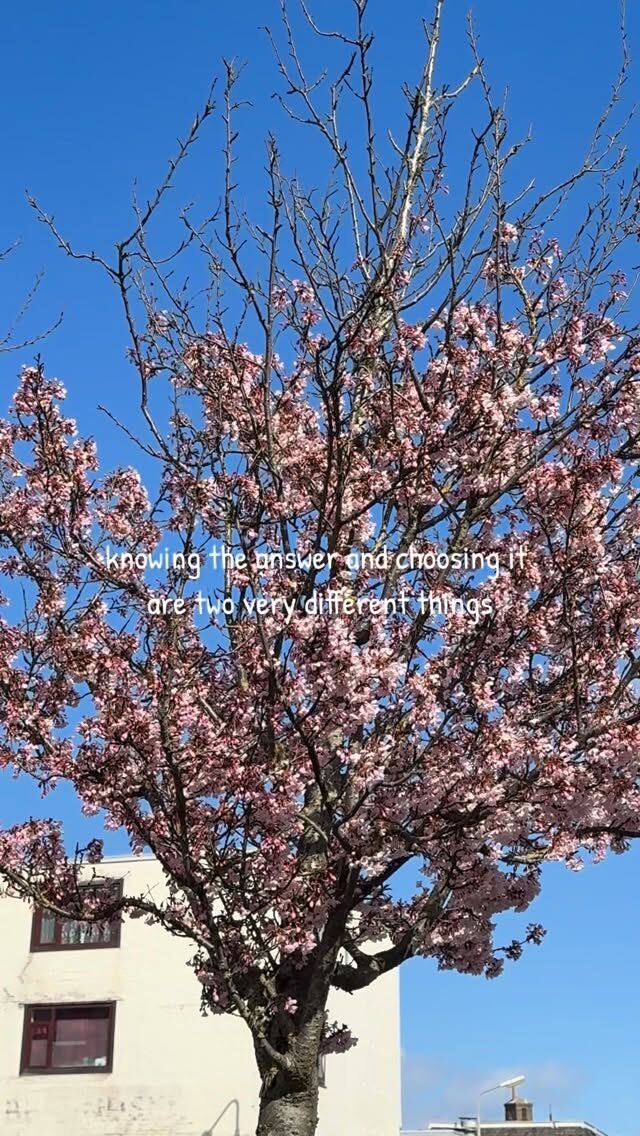 Instagram post from saffronandsunday. This post is in position 3.