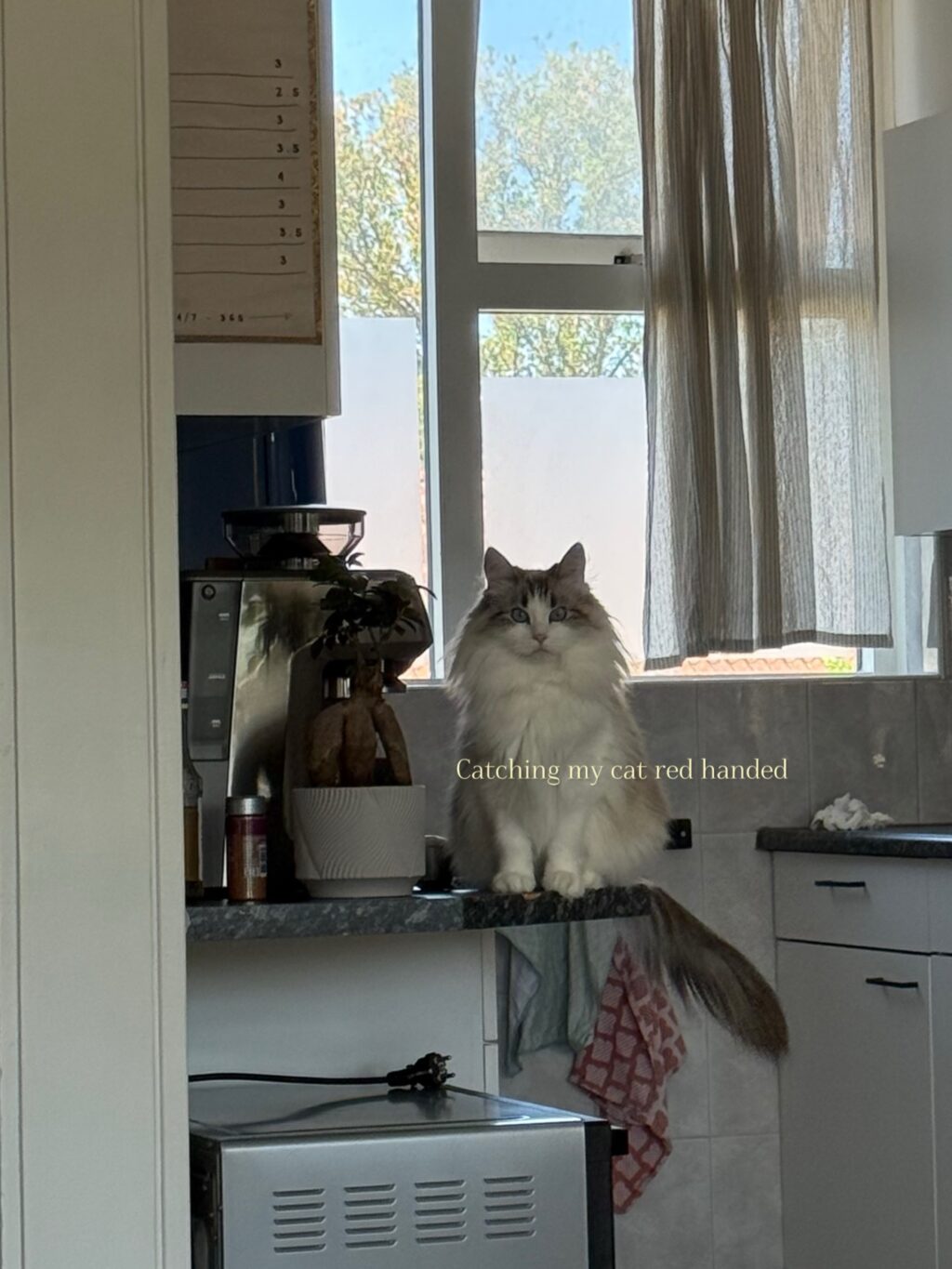 Instagram post from saffronandsunday. This post is in position 9.