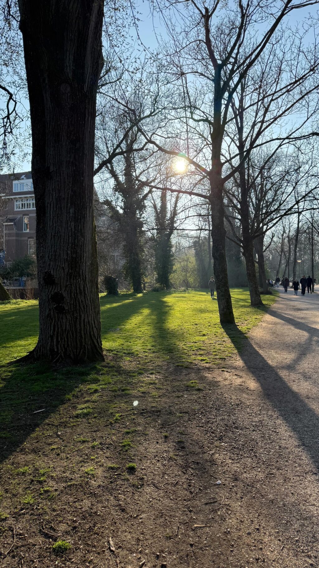 Instagram post from saffronandsunday. This post is in position 0.