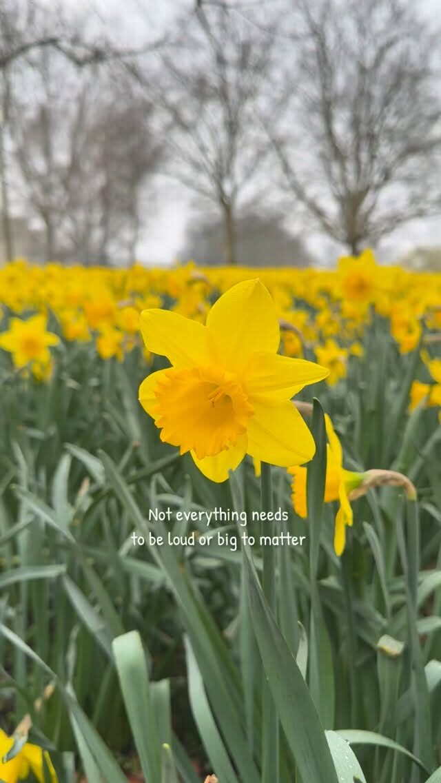 Instagram post from saffronandsunday. This post is in position 2.