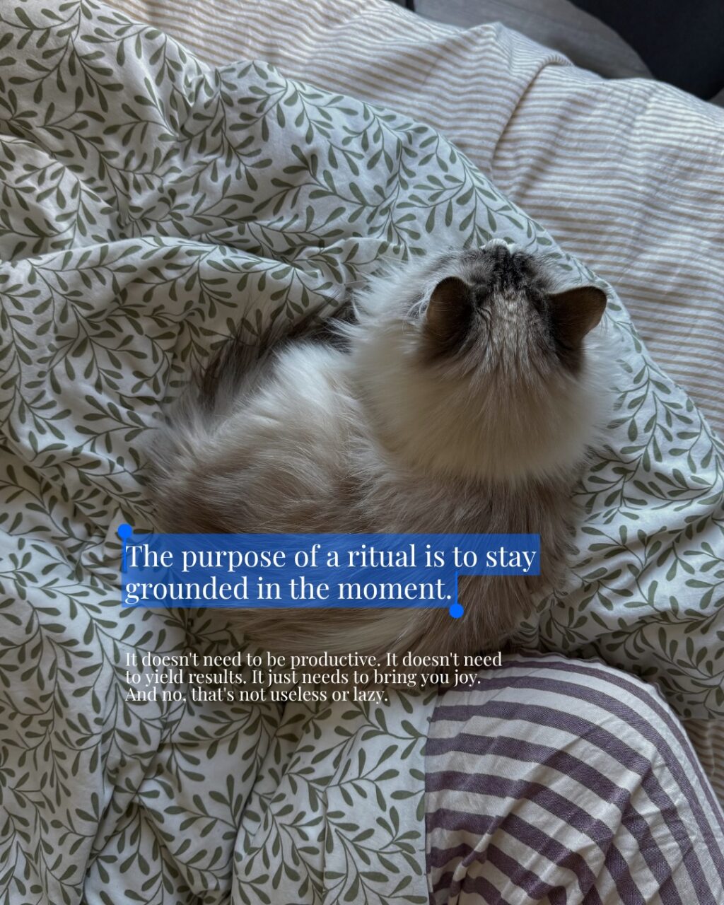 Instagram post from saffronandsunday. This post is in position 2.